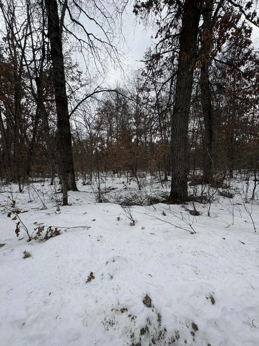 VL E Lynndon Street, Idlewild, MI 49642 - #3