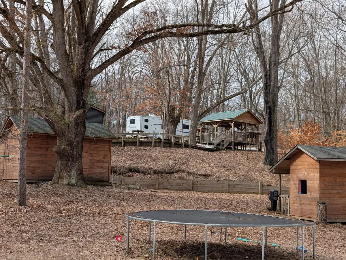 6557 S Woods Trail Road, Custer, MI 49405 - #1