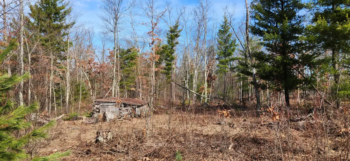 7746 N Woodbridge Road, White Cloud, MI 49349 - #1