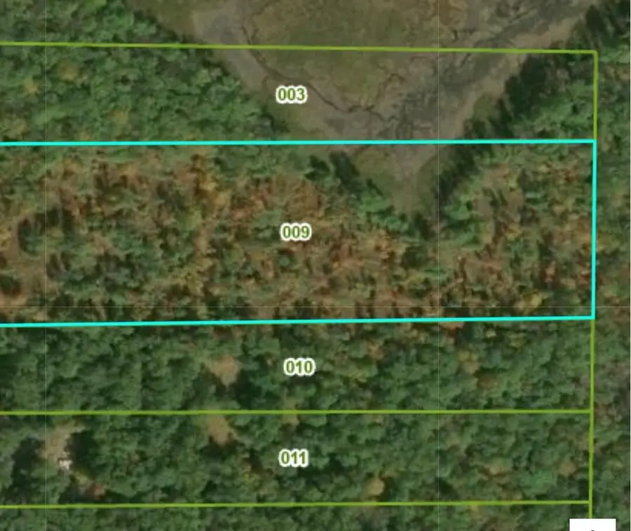 7746 N Woodbridge Road, White Cloud, MI 49349 - #2