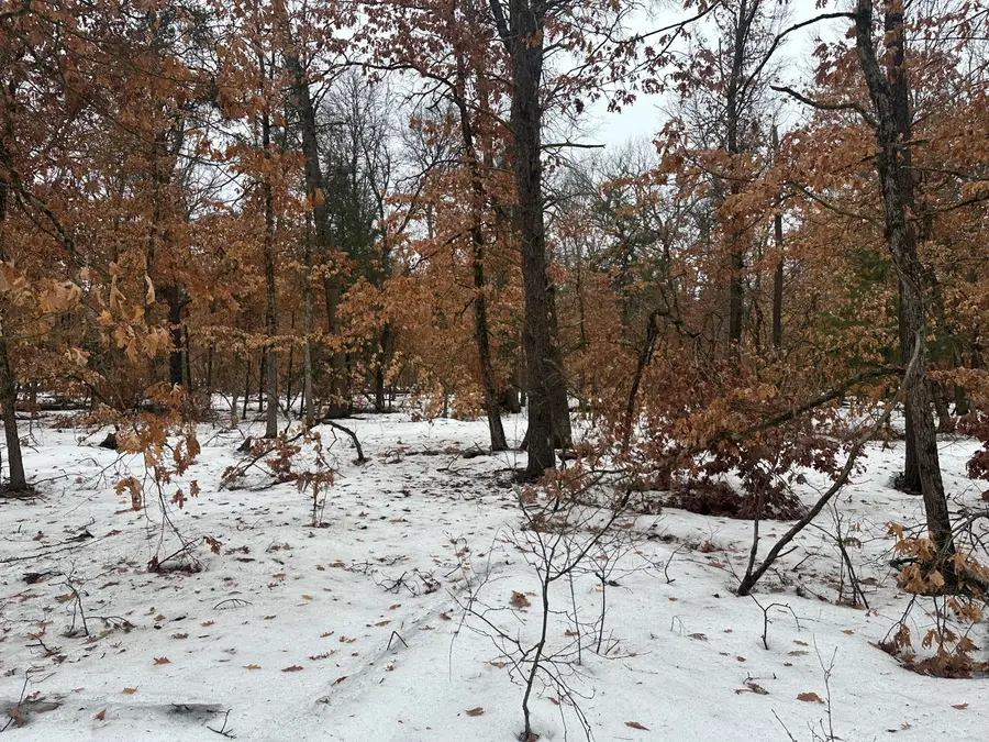 00 S Stanberry, Baldwin, MI 49304 - #3