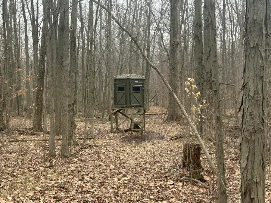 S Pittsford Road #0 V/L, Pittsford, MI 49271 - #2