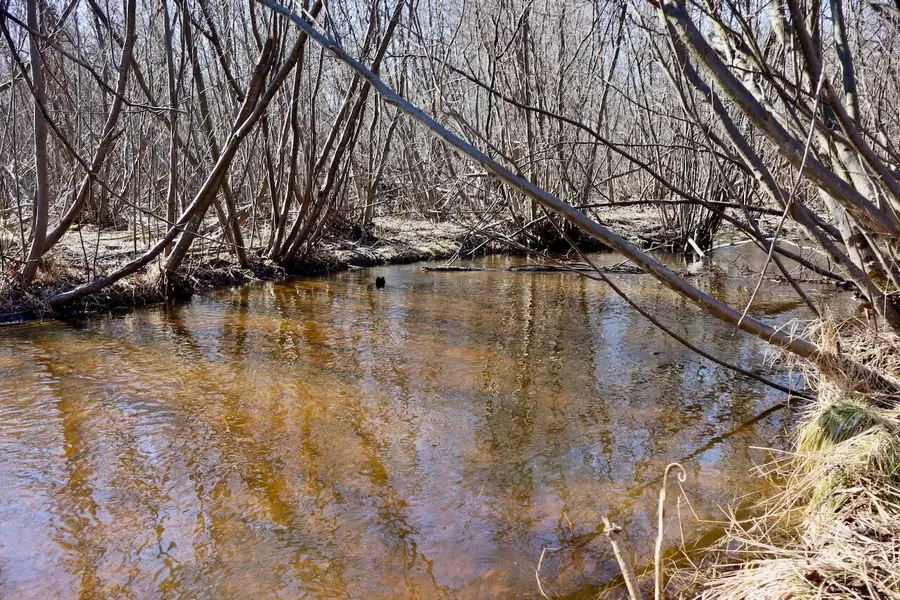 20334 11 Mile Road, Leroy, MI 49655 - #3