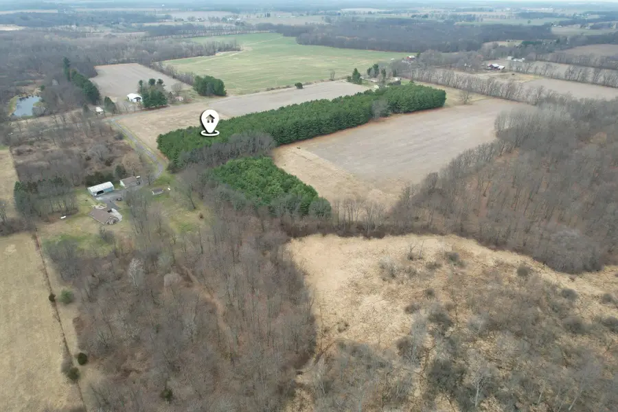 1 1/2 Mile Road, East Leroy, MI 49051 - #3