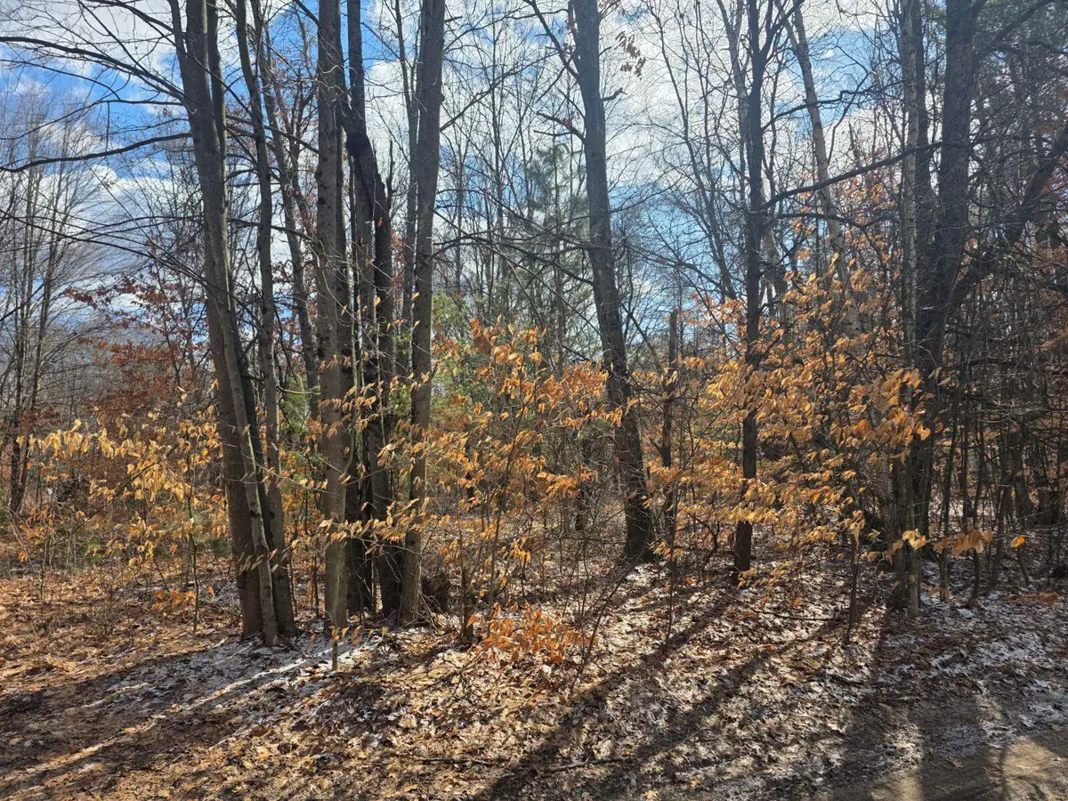 3rd St, White Cloud, MI 49349 - #1