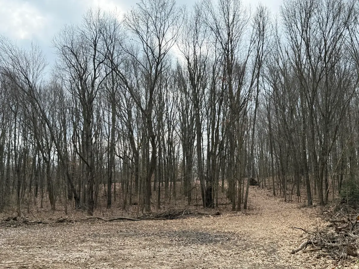 V/L Yawger Road, Battle Creek, MI 49017 - #1