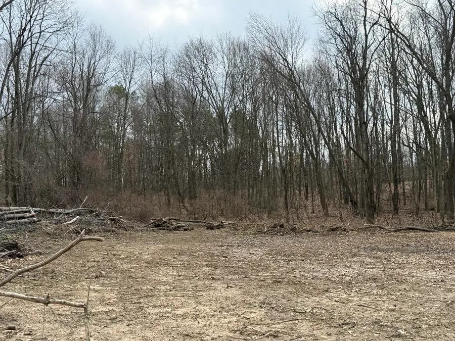 V/L Yawger Road, Battle Creek, MI 49017 - #3