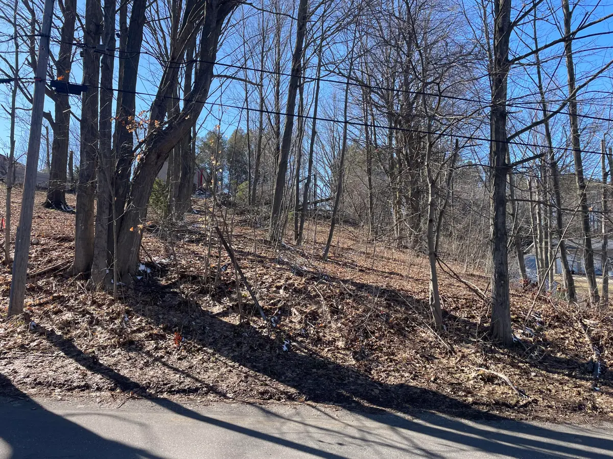 N Pine Street, Shelby, MI 49455 - #1