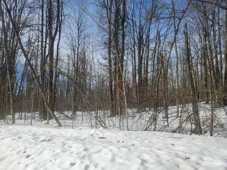 Valleyridge Circle, Alba, MI 49611 - #2