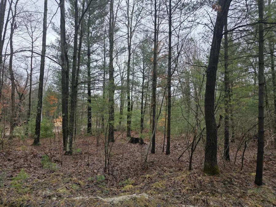 4802 E 96th Street, Newaygo, MI 49337 - #2