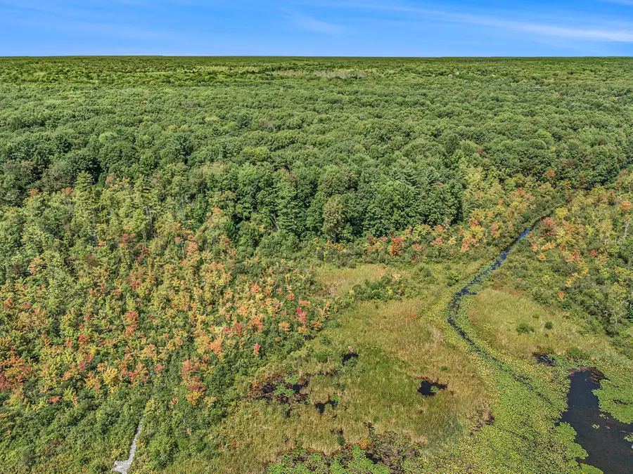 51957 Silver Lake Road, Grand Junction, MI 49056 - #2