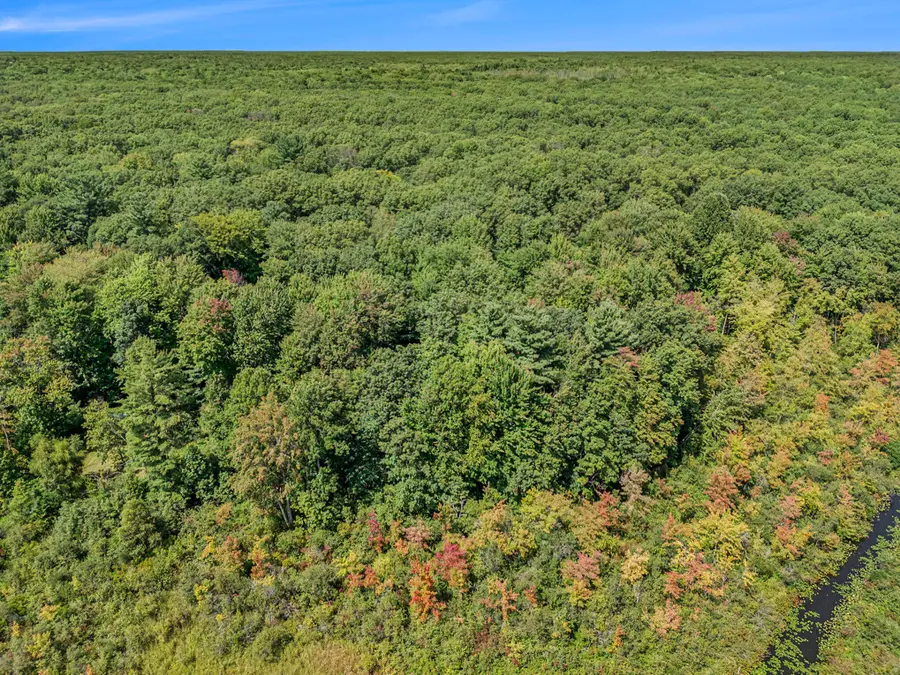 51957 Silver Lake Road, Grand Junction, MI 49056 - #3