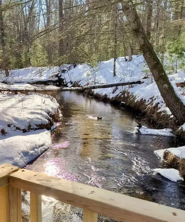 3833 E Creek Wood Drive, Chase, MI 49623