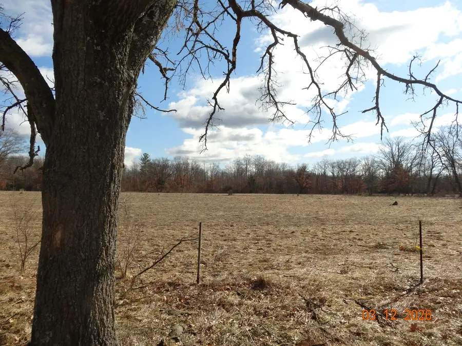 550 S Oak Avenue, White Cloud, MI 49349 - #3