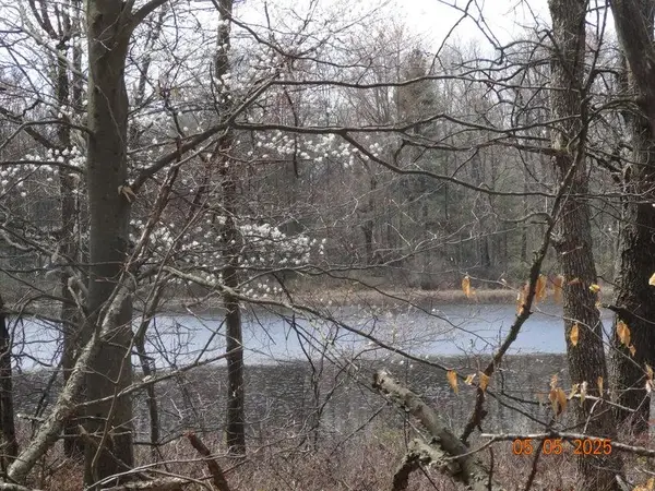 518 S Oak Avenue, White Cloud, MI 49349