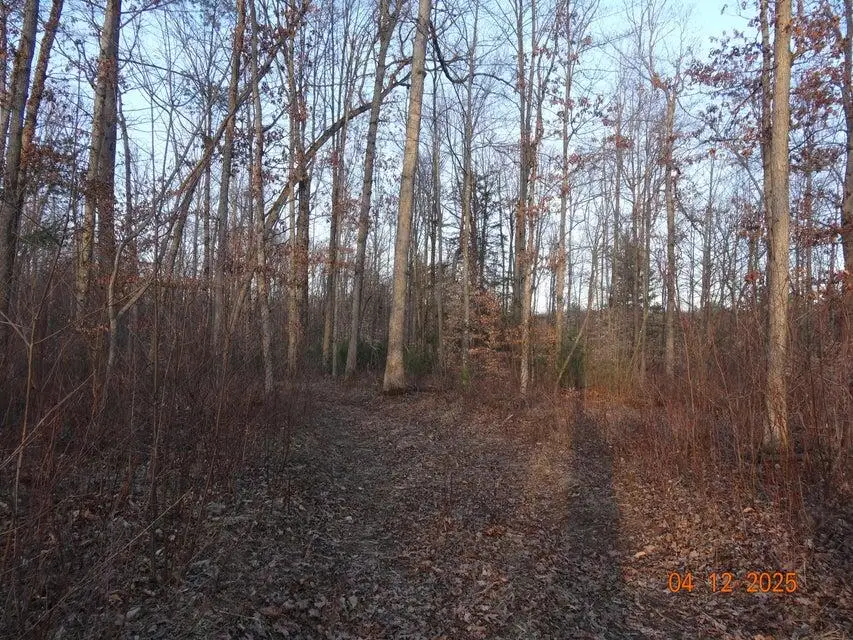 518 S Oak Avenue, White Cloud, MI 49349 - #2