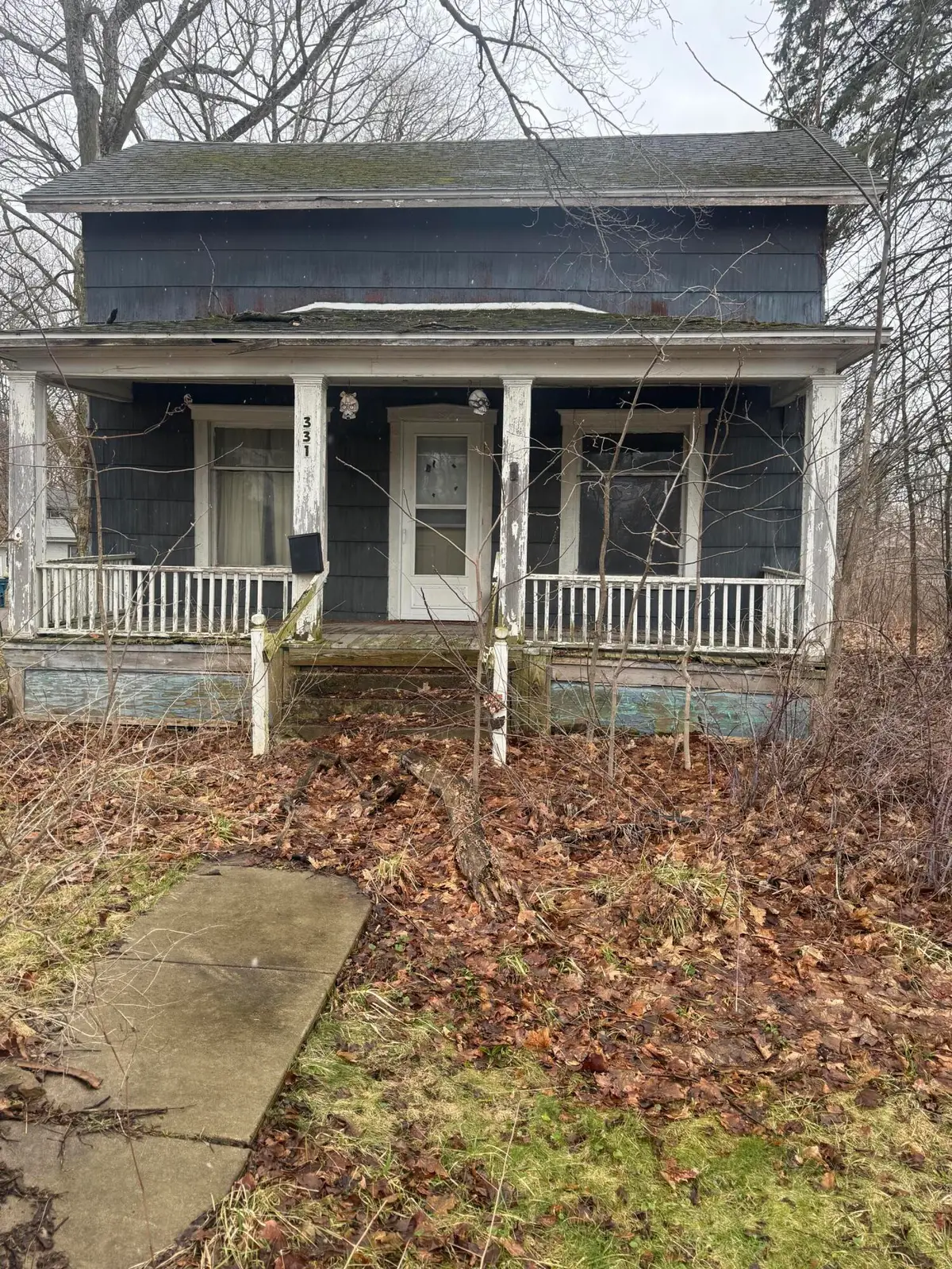 331 S Main Street, Bellevue, MI 49021 - #1