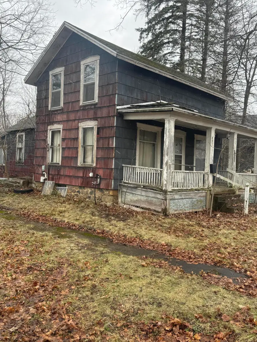 331 S Main Street, Bellevue, MI 49021 - #3