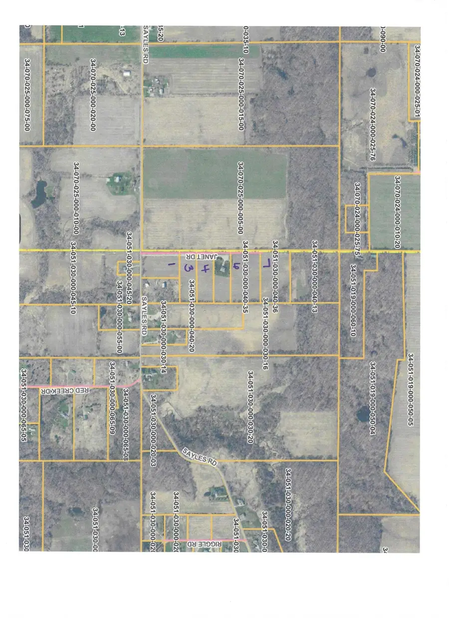 V/L Janet Dr Parcel 6, Saranac, MI 48881 - #2