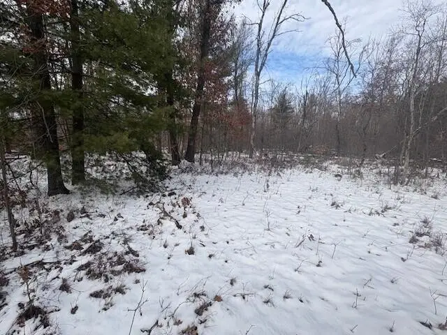 N 5th Avenue, Marion, MI 49665 - #3