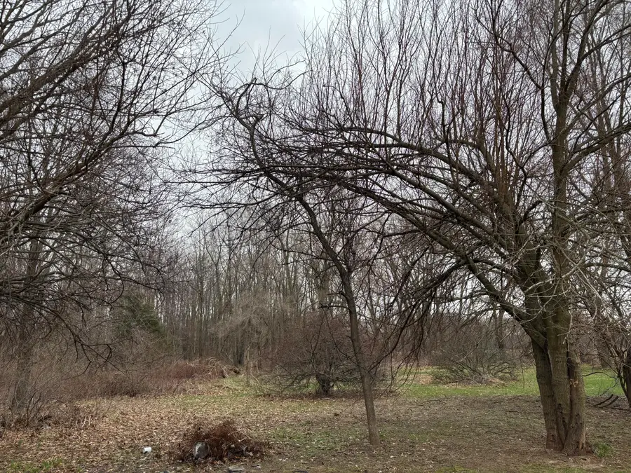 17932 Indian Prairie Road, White Pigeon, MI 49099 - #3