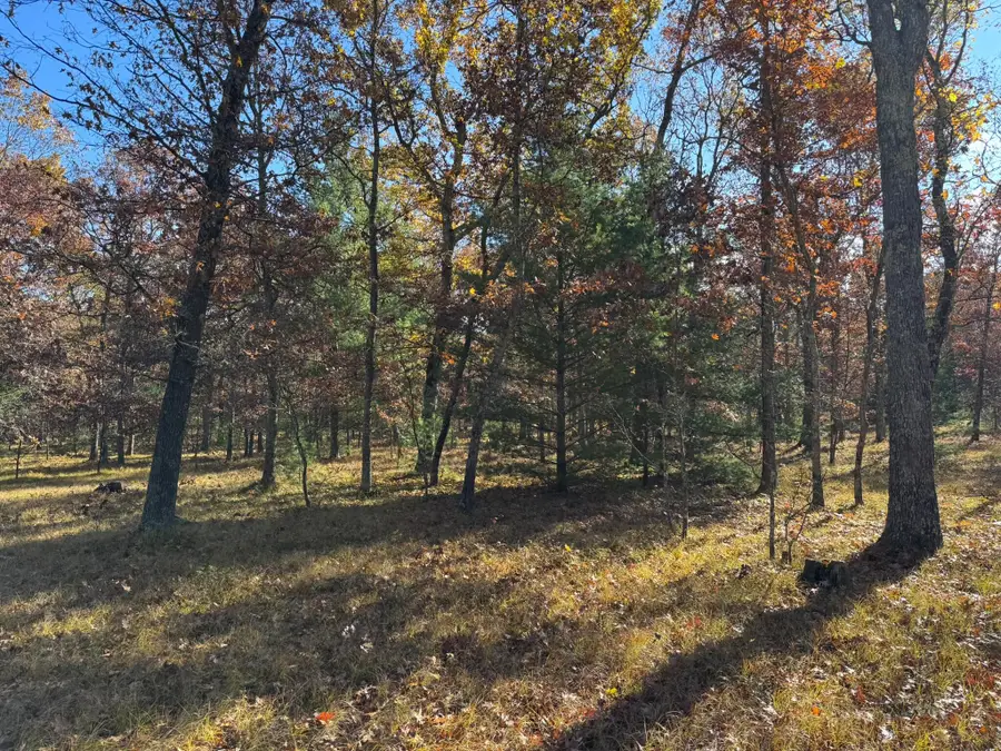 Parcel 7 County Line Road, Free Soil, MI 49411 - #3