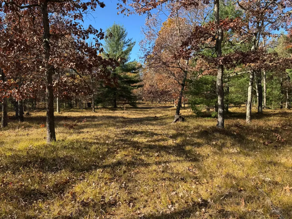 Parcel 8 County Line Road, Free Soil, MI 49411 - #1