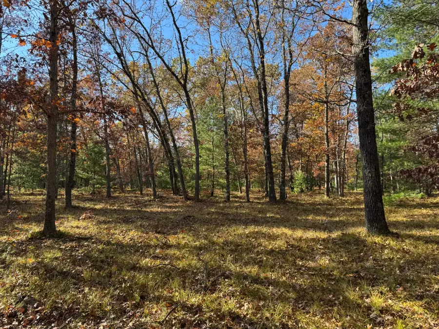 Parcel 8 County Line Road, Free Soil, MI 49411 - #3