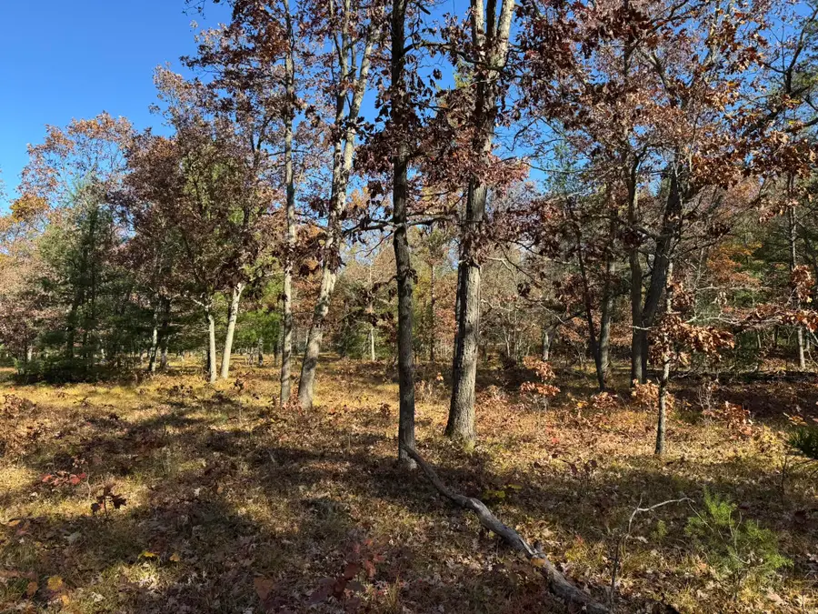 Parcel 9 County Line Road, Free Soil, MI 49411 - #3