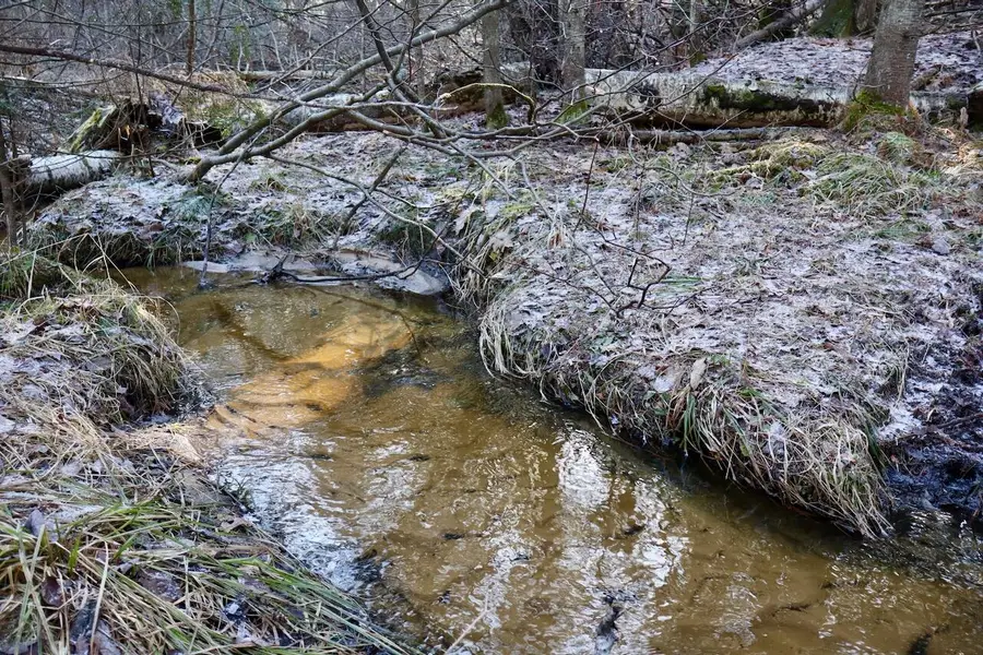 5717 Maple Ridge Road, Sterling, MI 48659 - #3