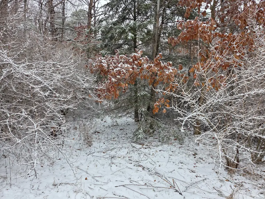 1138 N Thornapple Avenue, White Cloud, MI 49349 - #2