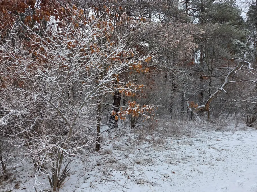 1138 N Thornapple Avenue, White Cloud, MI 49349 - #3