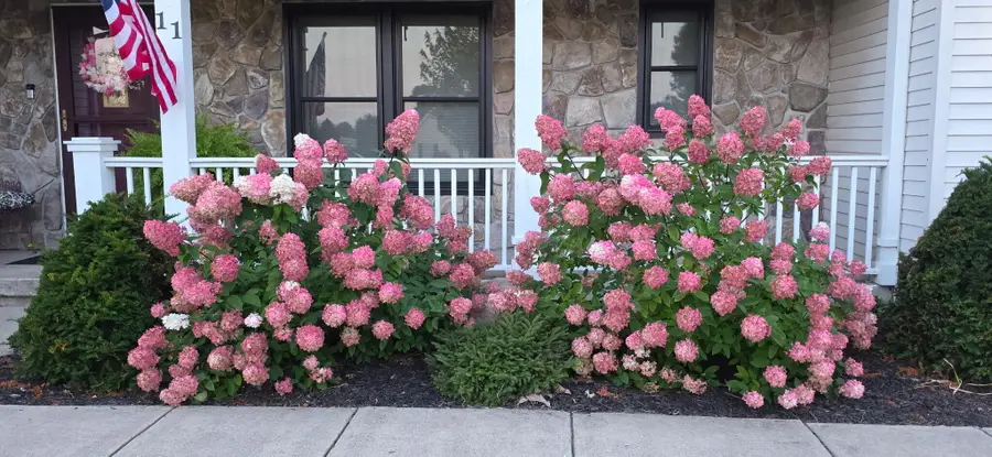 11 Santalina Trail, Battle Creek, MI 49014 - #3