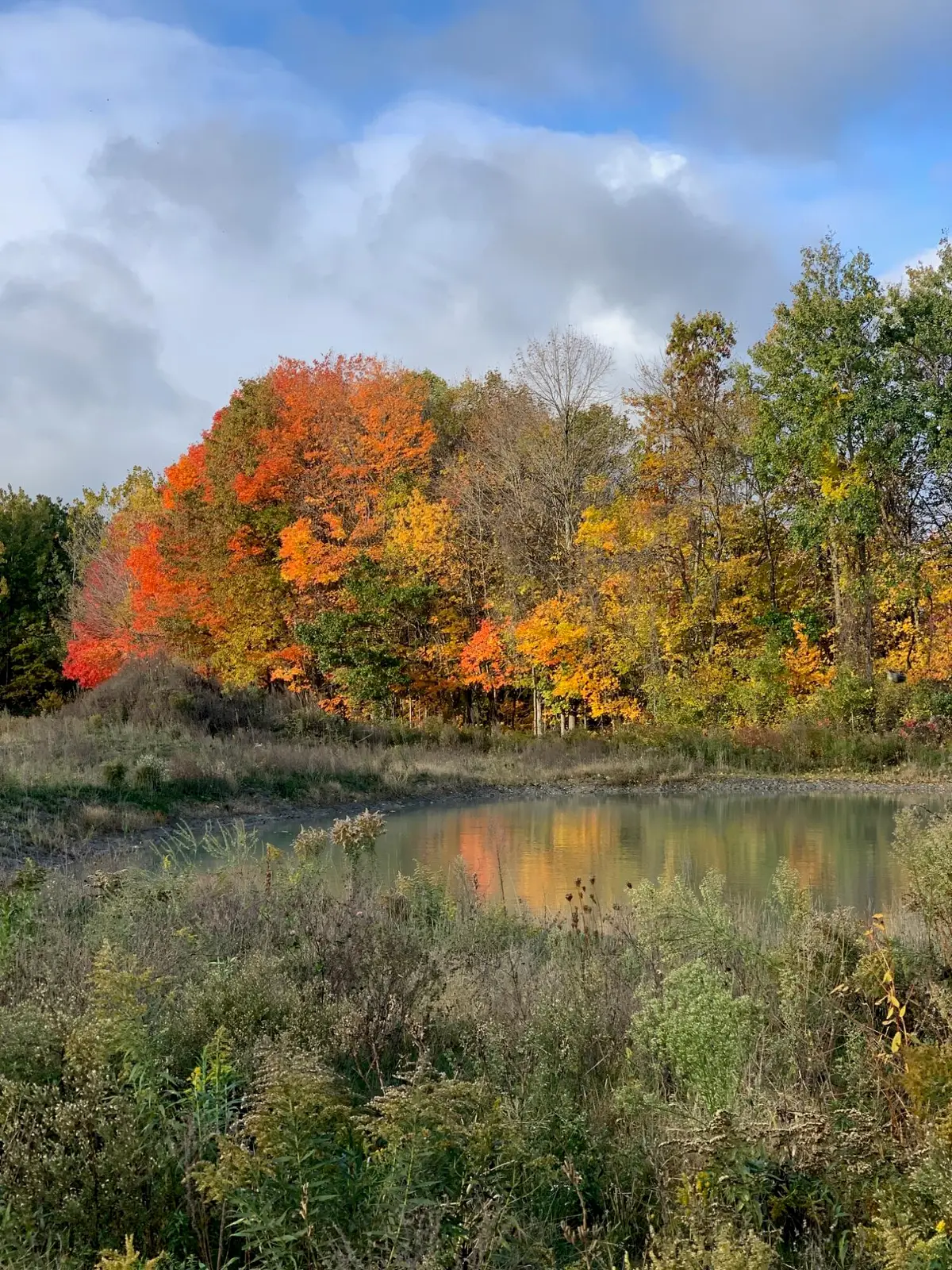 V/L Hidden Creek Trail #C, Hamilton, MI 49419 - #1