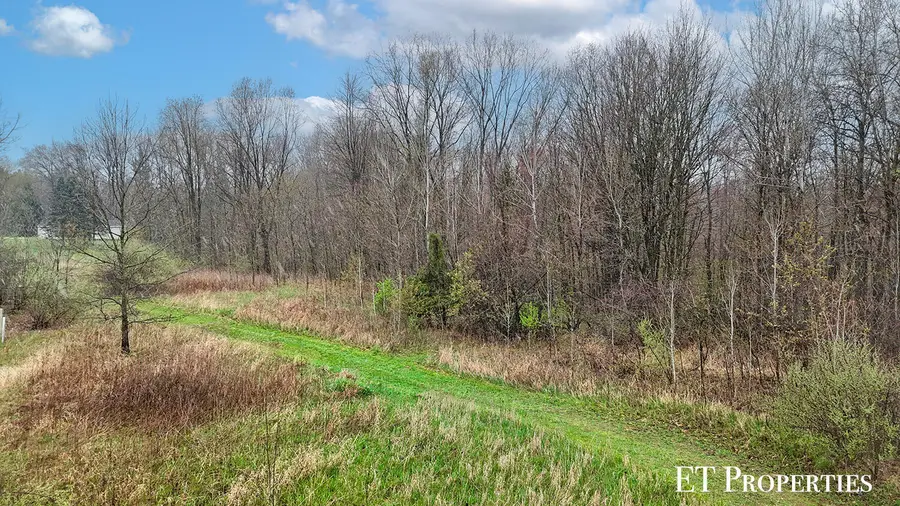 14255 Myers Lake Avenue Ne, Cedar Springs, MI 49319 - #3