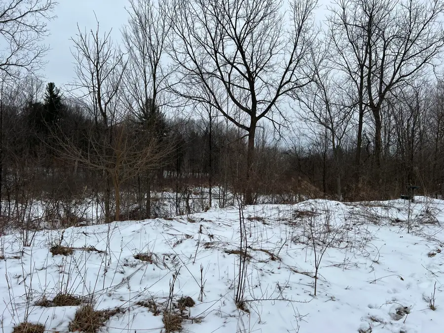 01275 47 1/2 Street, Grand Junction, MI 49056 - #3