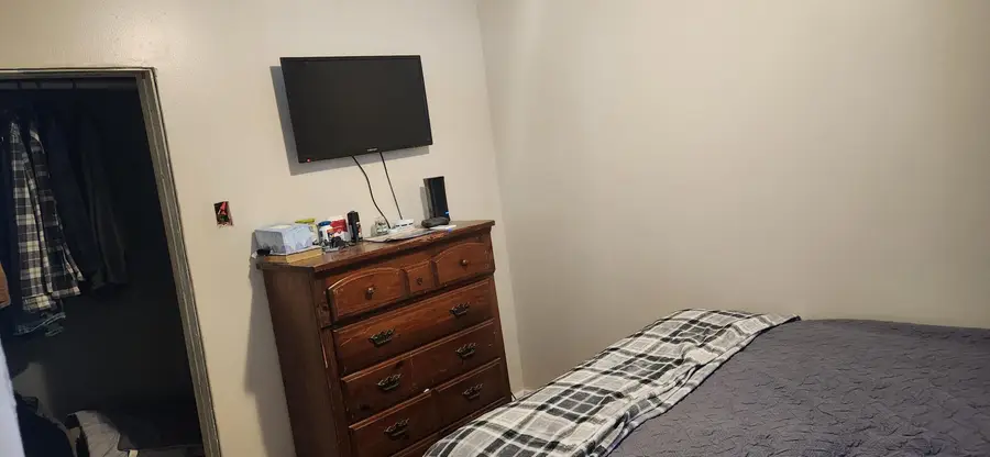 1388 E Wilcox Avenue, White Cloud, MI 49349 - #3