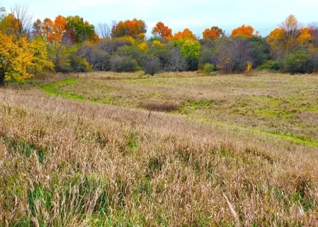 VL Head Road, Delton, MI 49046 - #2