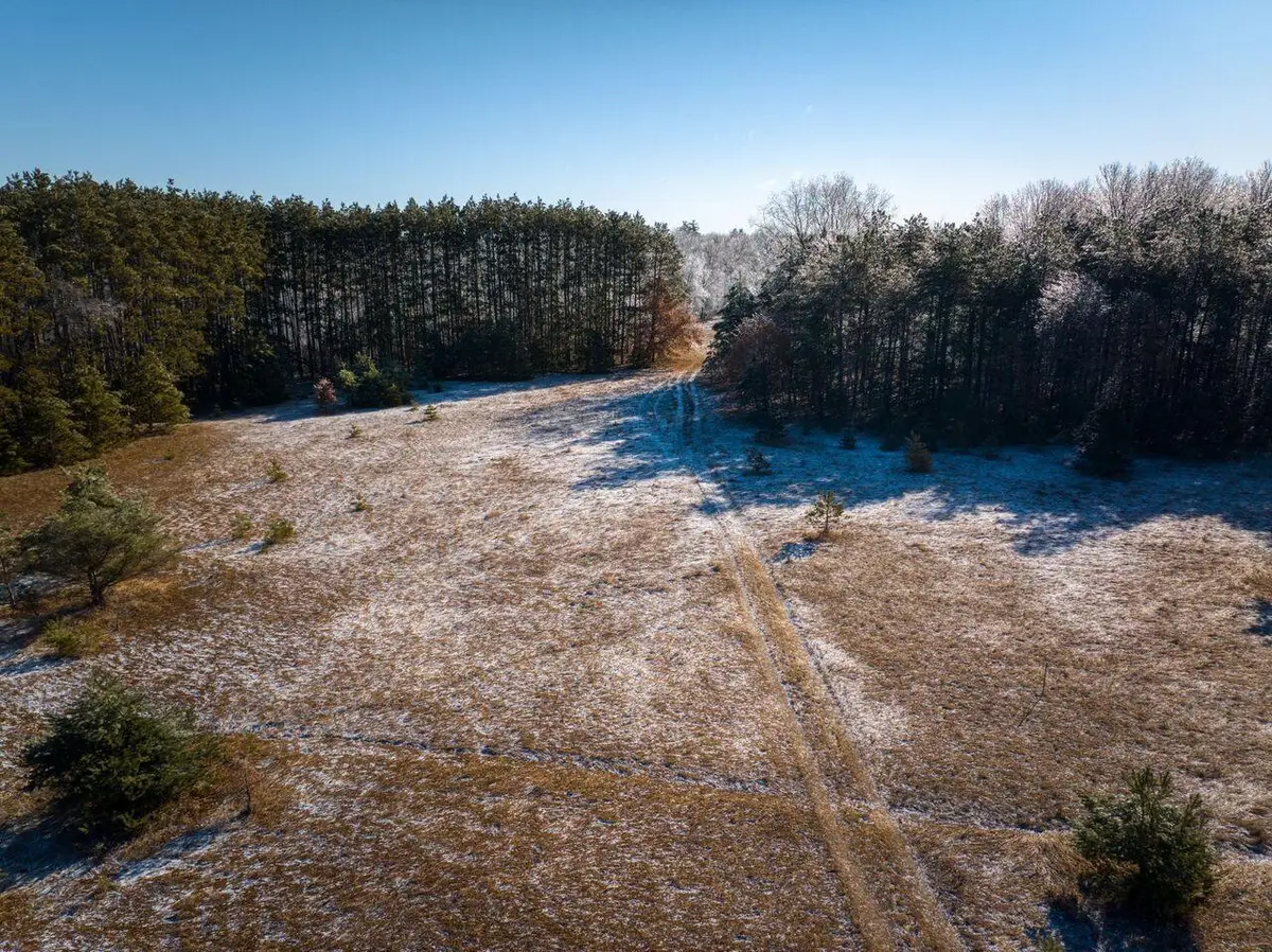 10836 30th Avenue, Evart, MI 49631 - #1