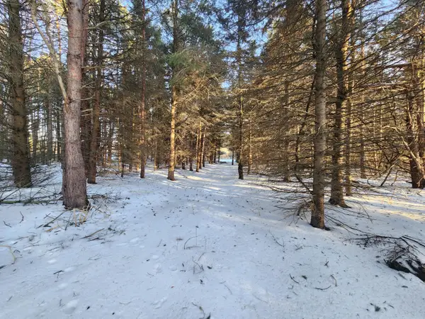 2600 S Scottville Road, Scottville, MI 49454