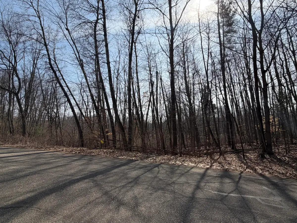 12952 Bowen Lake Drive Ne, Gowen, MI 49326 - #1