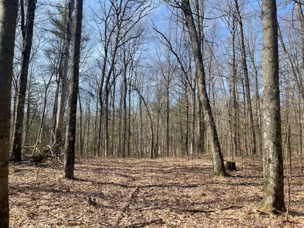 5243 S Basswood Drive, Newaygo, MI 49337