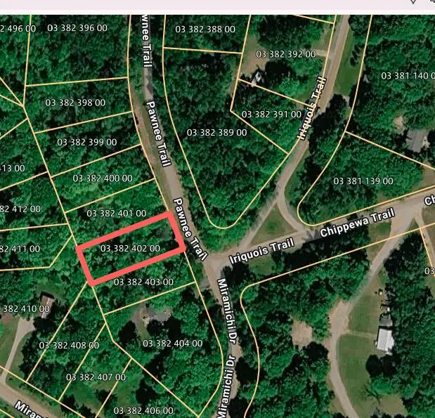 Vl Pawnee Trail, Evart, MI 49631 - #2