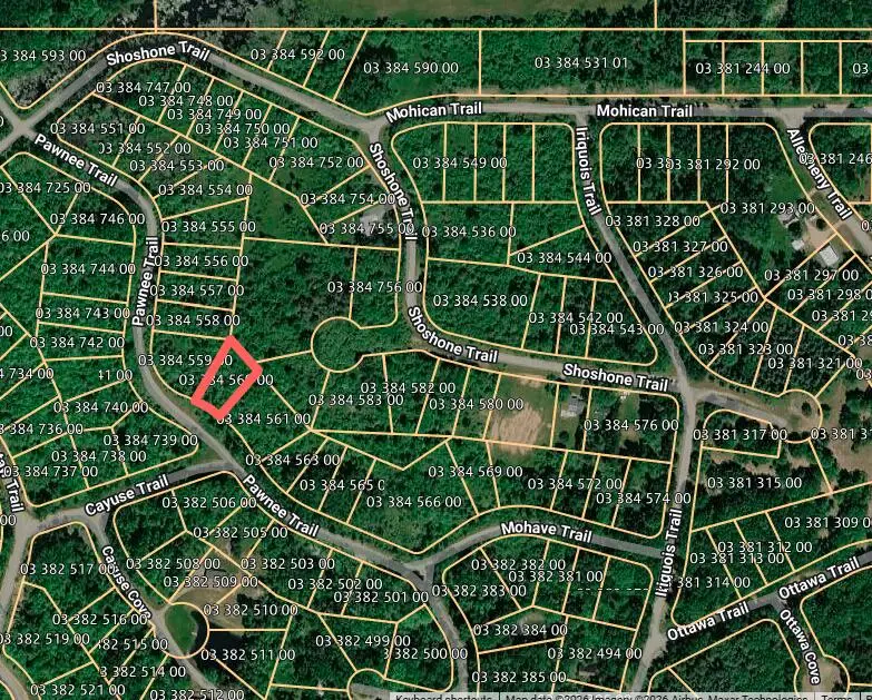 Pawnee Trail, Evart, MI 49631 - #2