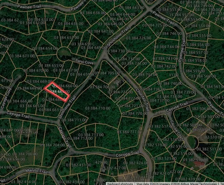 Shoshone Trail, Evart, MI 49631 - #2