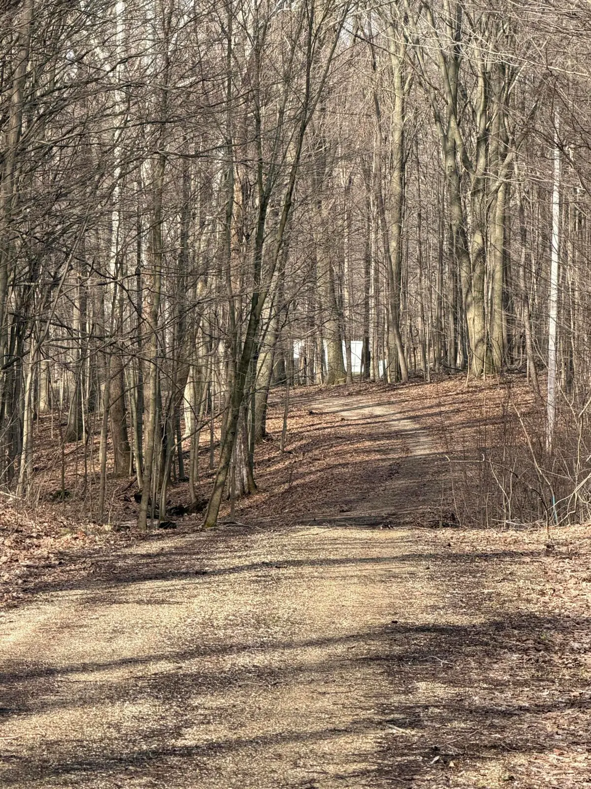 V/L 38th Street, Gobles, MI 49055 - #1