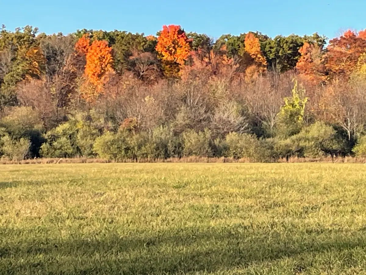 000 VL N Cottonwood Avenue, Big Rapids, MI 49307 - #1