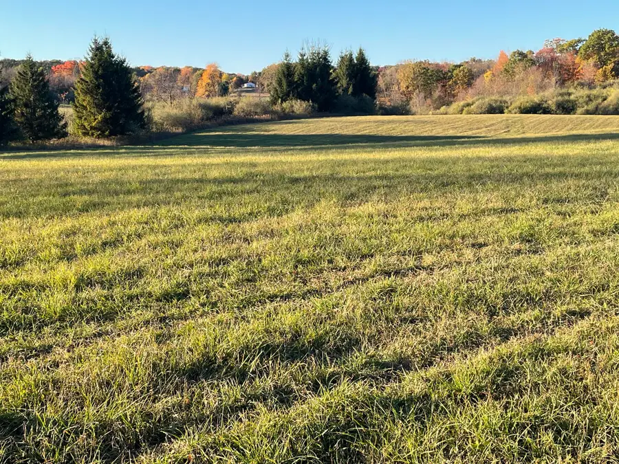 000 VL N Cottonwood Avenue, Big Rapids, MI 49307 - #3