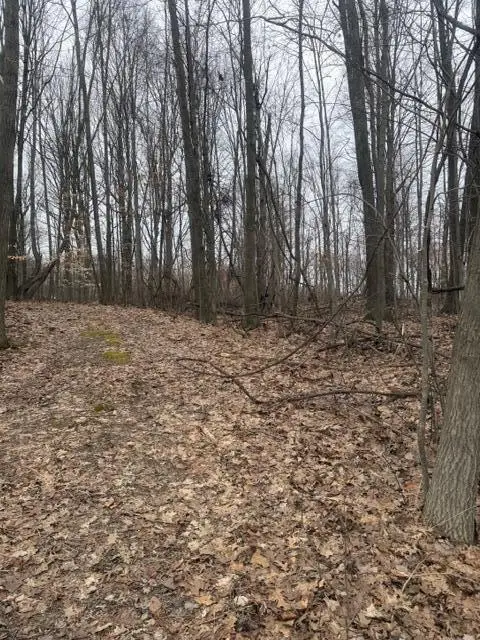 6497 E 128th Street, Sand Lake, MI 49343 - #2