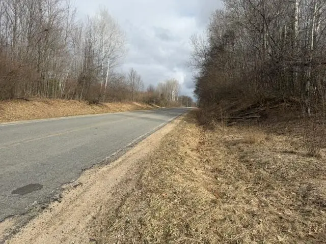 12784 Elm Avenue, Sand Lake, MI 49343 - #3